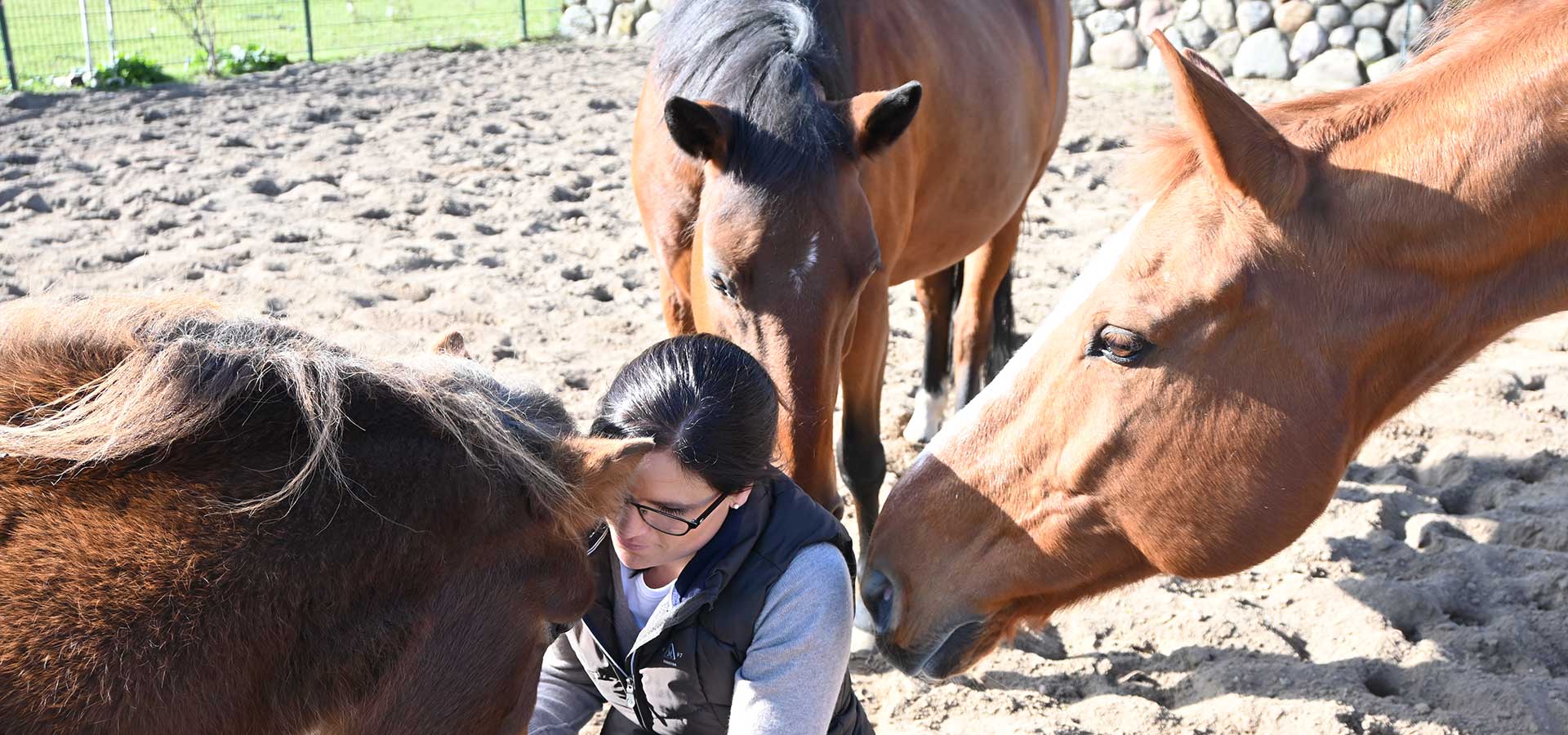 Tiergespräche mit Kathrin Hintz Flüsterton